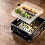 "Die Vegetarische" APERO Box by Mangosteen Catering